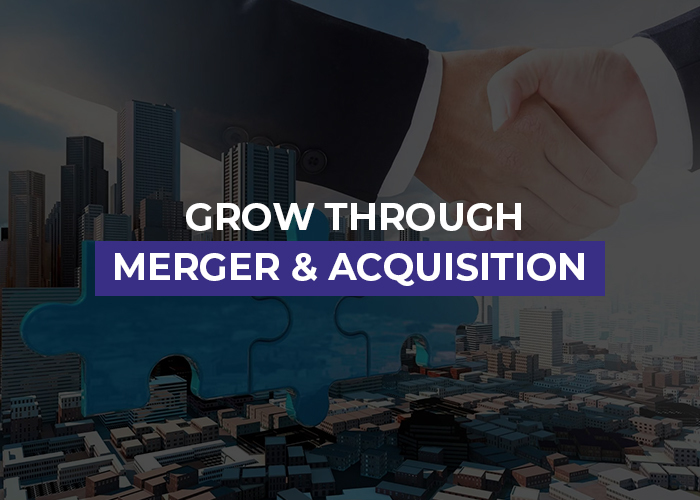 Grow through Merger & Acquisition